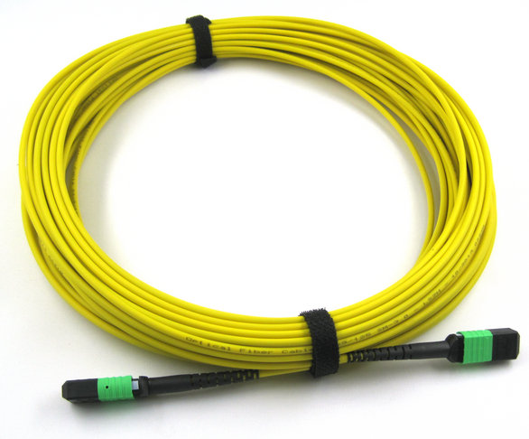 MPO trunk cable