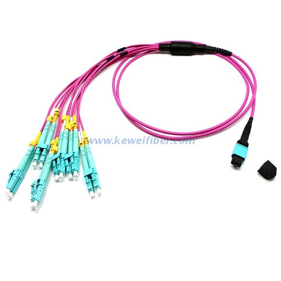 8/12/24cores MTP-LC/SC/FC/ST Staggered harness Cables assemblies