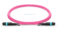 MTP Female to MTP Female 12 Fibers OM4 50/125 Multimode HD Trunk Cable, Polarity A, LSZH Bunch Pull tab type
